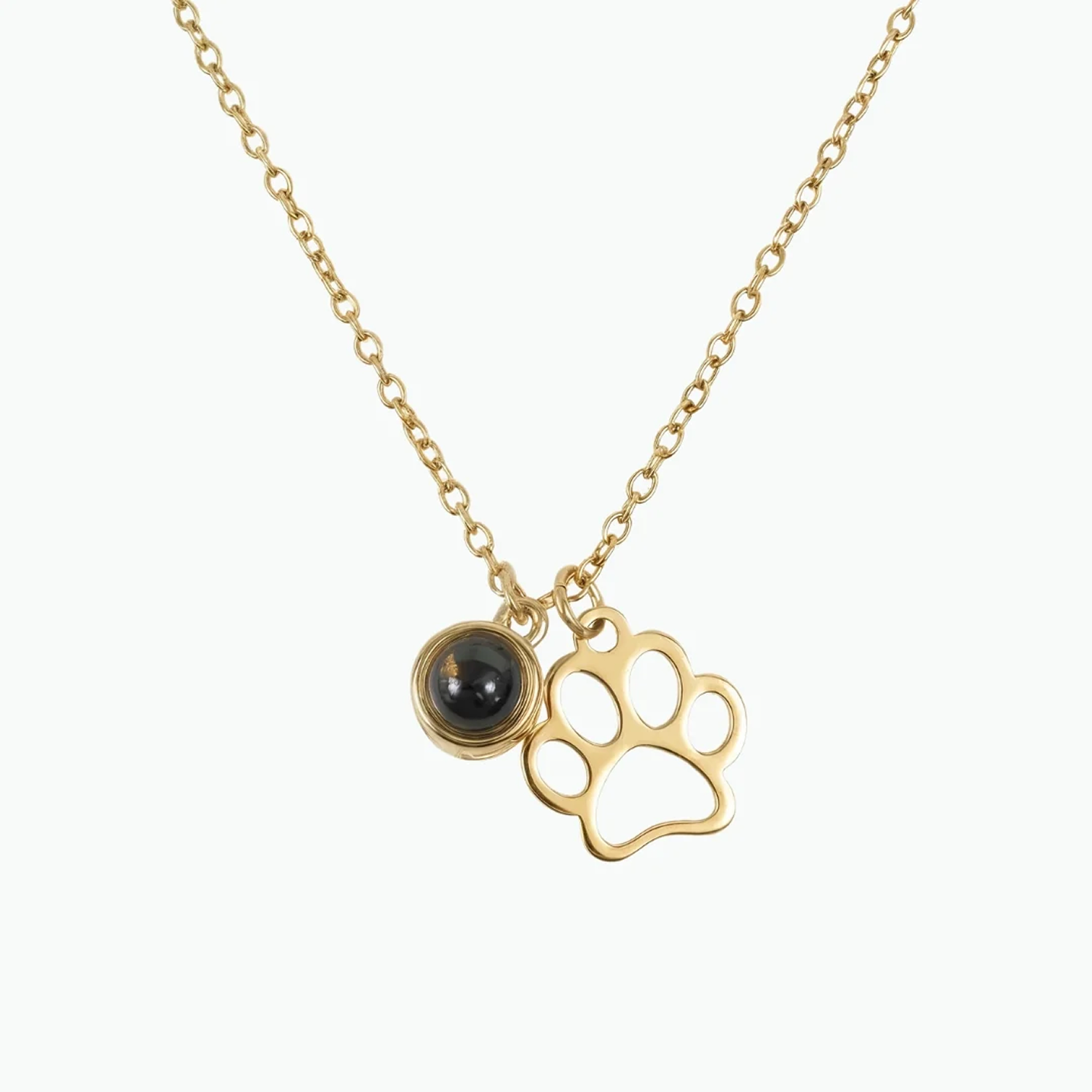 Collar de Proyección Forever Paw